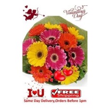 Colored Gerberas